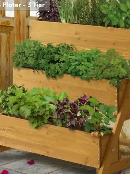 Perfect for aspiring chefs, this three-tier VegTrug herb planter is made from rot-resistant cedar wood. Its ergonomic design makes it easy to grow a large variety of fresh herbs right on your patio or balcony.