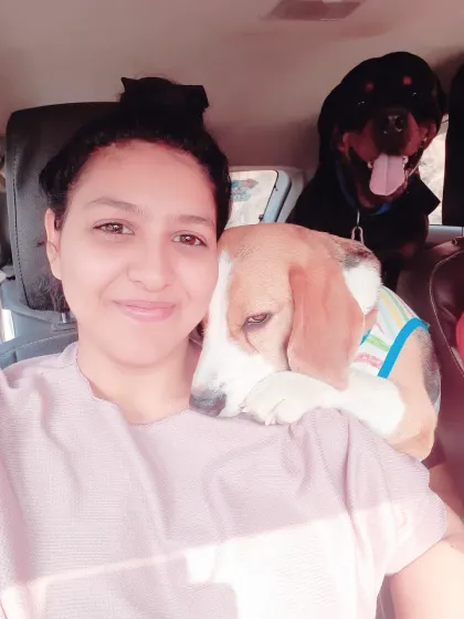 My two precious gems, Poppins the Beagle and Hulk the Rottweiler, enjoying a car ride. They are perfect travel buddies.