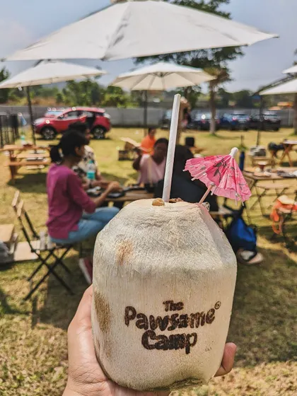 Stay hydrated with our signature branded coconuts! They are a refreshing and healthy treat for humans enjoying the sun.