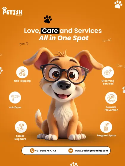 Love, care, and services all in one spot. My offerings include everything from nail-clipping and hair drying to parasite prevention and special care for senior dogs.