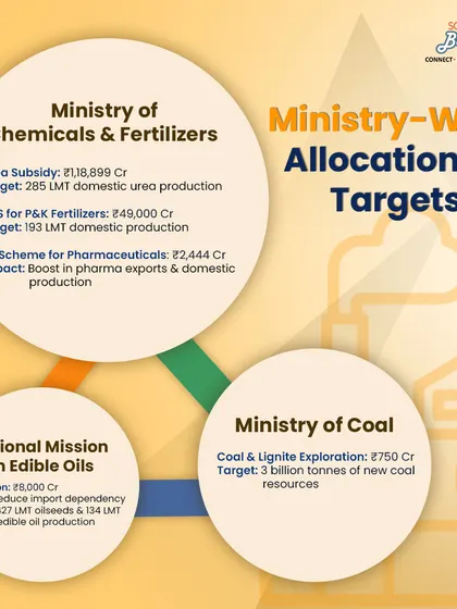 This graphic details ministry-wise allocations and targets, showing huge investments in chemicals, fertilizers, and edible oils. We help you build businesses that align with these national priorities.