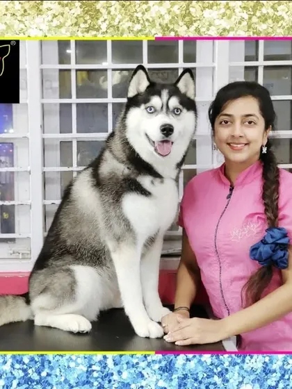 A special moment with Iris the Husky. Her stunning coat and bright blue eyes are simply captivating after her grooming.