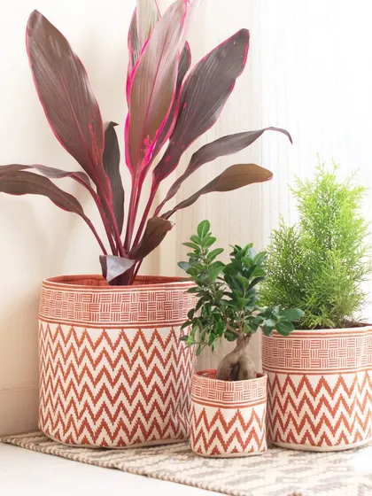 This trio of block-printed baskets demonstrates how you can create a beautiful, multi-level plant corner. The consistent pattern ties the different sizes together perfectly.