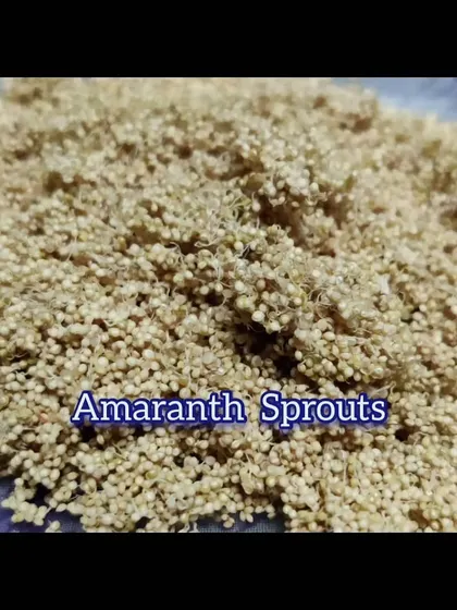 Sprouting amaranth increases its nutritional value and makes it easier to digest. You can add these sprouts to salads or sandwiches for an extra boost of protein and minerals.