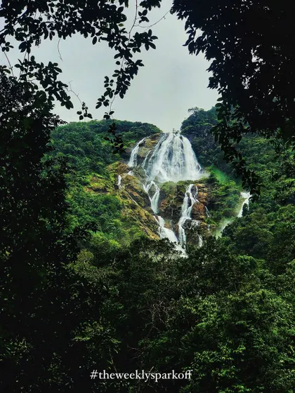 Another perspective of the majestic Dudhsagar falls, framed by the lush green foliage of the jungle.
