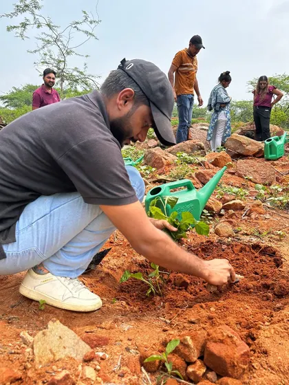 A volunteer from Beumer Group carefully plants a sapling amidst the rocks at Aravali Nagar Van, demonstrating dedication even in challenging conditions.