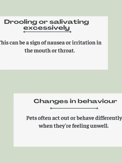 Excessive drooling can be a sign of nausea, while changes in behavior, like acting out, can indicate they are feeling unwell.