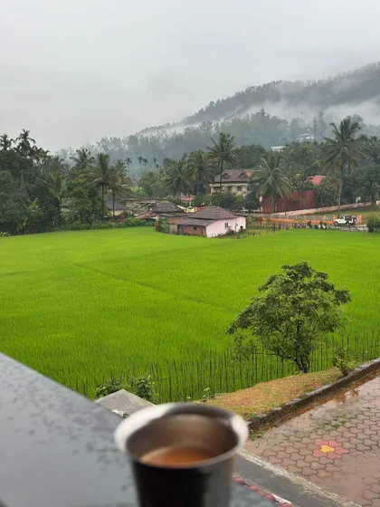 Enjoying a hot cup of chai with a view of lush green paddy fields from our homestay near Gangadikal.