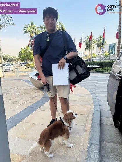 Ready for the next chapter. A pet parent stands with his dog and all the necessary travel documents before their flight from Dubai to Vancouver.
