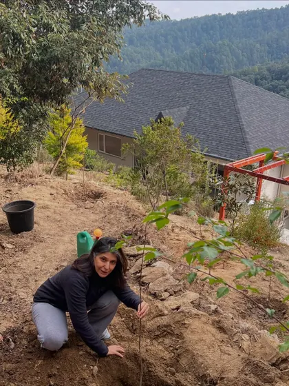 Planting apple and plum saplings in Kumaon. Getting my hands dirty in the earth is a form of meditation and a way to give back to the land that nourishes us.