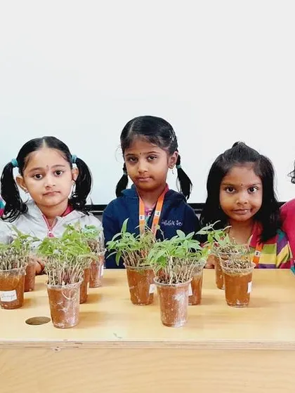 As part of our hands-on science curriculum, students learn about plant life by observing the growth of saplings in the classroom.