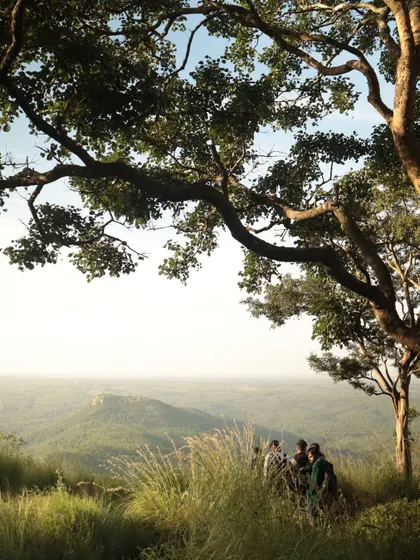 A group of friends sitting under a tree on a grassy hilltop, taking a moment to rest and enjoy the view together.
