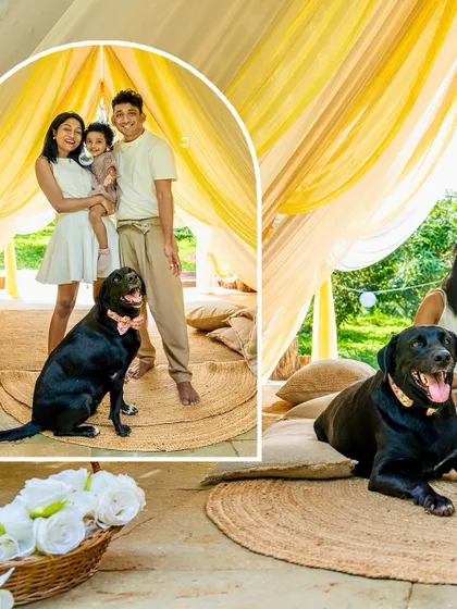 A collage showing a family and their dog enjoying a birthday celebration in a beautiful outdoor setting.