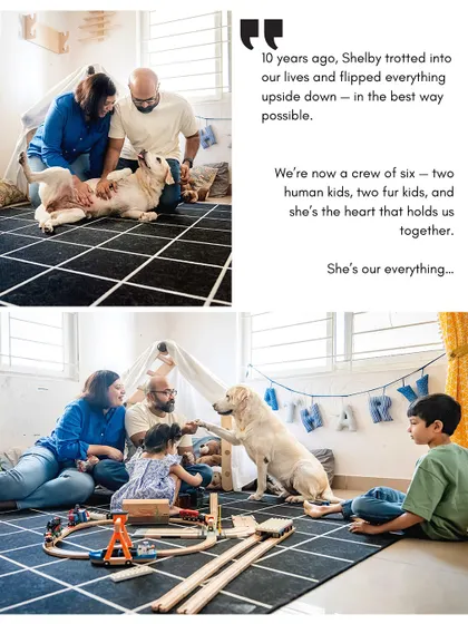 A collage celebrating Shelby's 10 years with her family. From belly rubs to gentle paw-shakes with the kids, these images show how she is the heart that holds them all together.
