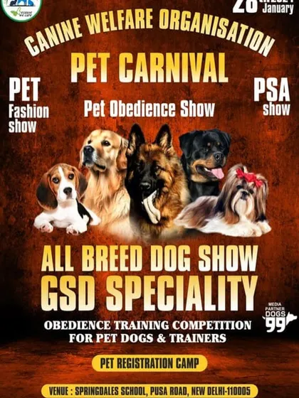 As partners of the Canine Welfare Organisation's Pet Carnival, we supported a full day of activities, including an all-breed dog show and obedience competitions.