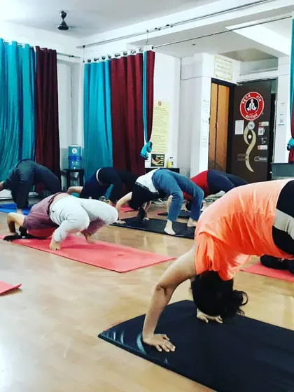 More students practicing Chakrasana, with some exploring variations. Our training encourages students to understand their bodies and progress at their own pace.