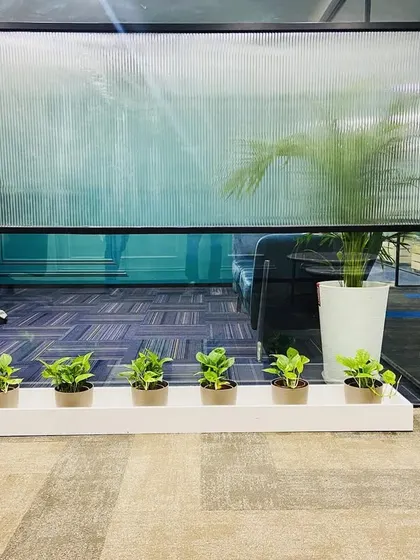 A simple yet effective biophilic touch. A row of small, identical potted plants lines the inside of a large window, adding a neat line of green to the office interior.