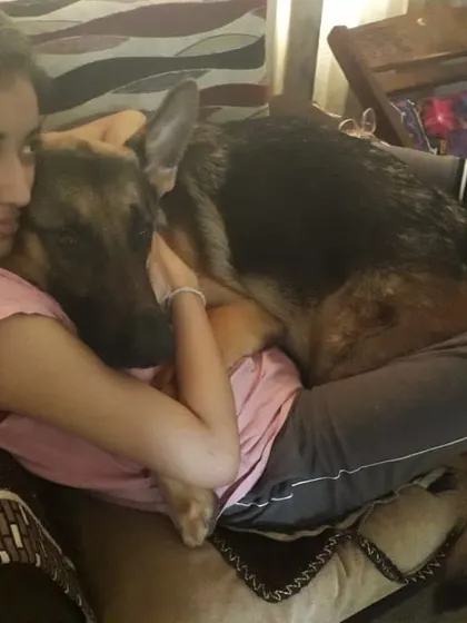 Sometimes he just wants to be a lap dog while we watch TV. These quiet moments of connection are what it's all about.
