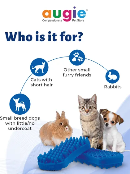Who is the Pet+Me Blue Brush for? It's ideal for cats with short hair, small breed dogs with little to no undercoat, rabbits, and other small furry friends.