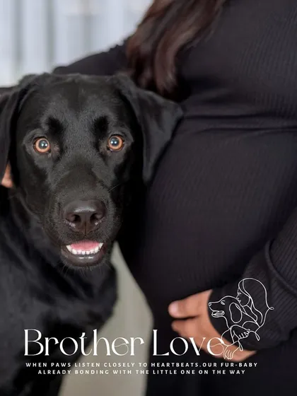 "Brother Love." This creative shot with a text overlay beautifully captures the bond between a pet and the coming baby. Paws listening to heartbeats.