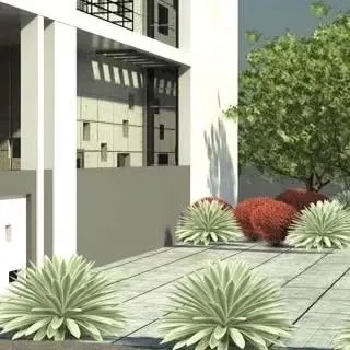 This render shows a wooden deck area with carefully placed Agave plants. This type of xeriscaping is a sustainable choice for modern gardens, requiring minimal water while offering strong sculptural forms.