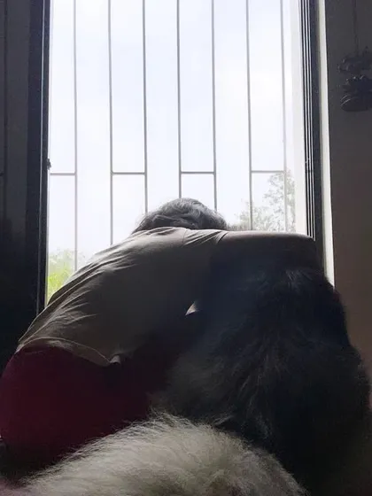 Sharing a quiet moment by the window with a furry friend. Sometimes, just being present and sharing the same space is the most comforting thing for a pet.