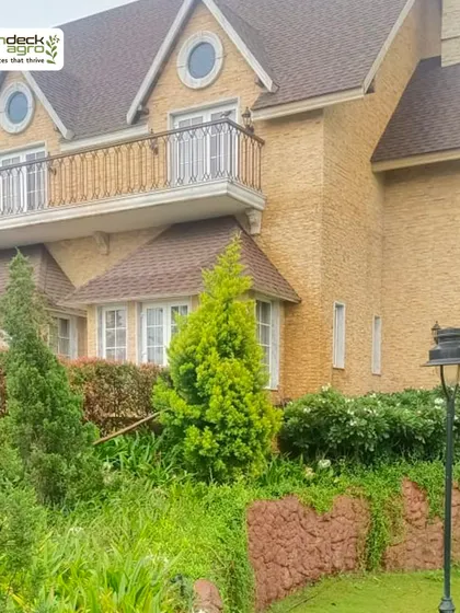 A view of the beautiful landscape we maintain for the Pinnacle Group. Our work ensures that the greenery perfectly complements the architecture of the property.