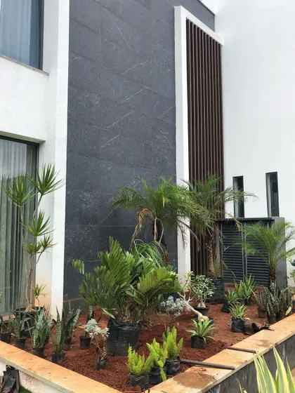 Another view of the rock garden during the planting process. The initial layout is crucial for creating a natural, unforced look once the plants mature.
