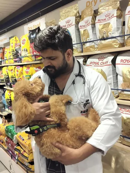One of our vets sharing a cuddle with an adorable poodle during a visit to our store.