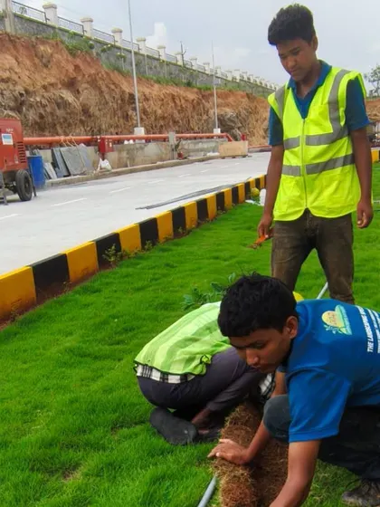 An identical shot of our team laying turf, demonstrating the hands-on work that goes into creating a lush, green lawn.