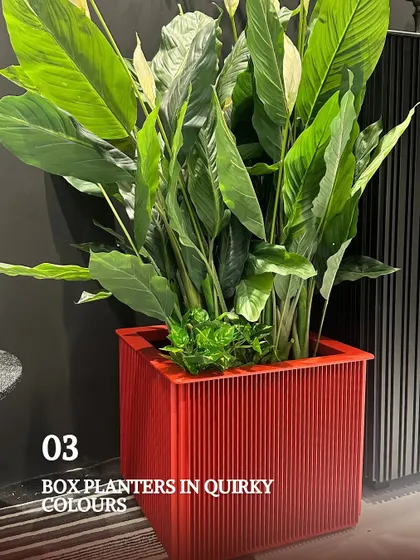 Who says planters have to be boring? I love using quirky, colorful planters like this red aluminum box planter to add a fresh pop of color to a garden or balcony. They are lightweight, durable, and make plant styling much more exciting.