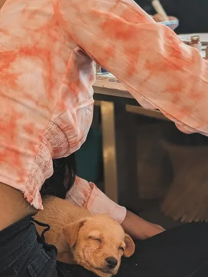 It's not just yoga. During our Art with Puppies workshops, you might find a sleepy pup using your lap as a bed while you paint. We provide all the art supplies for a relaxing, creative session where you can unwind with our furry friends.