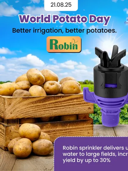 For potato cultivation, consistent irrigation is key. Our Robin sprinkler provides the uniform water distribution needed for optimal tuber formation, helping farmers achieve up to 30% higher yields. Better irrigation means better potatoes.