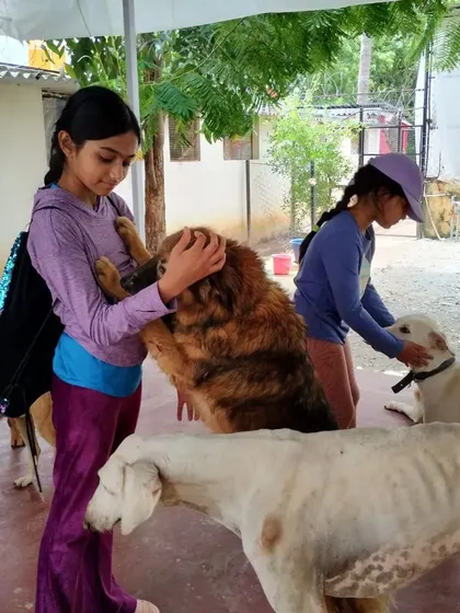 Our young supporters are not afraid to get right in the middle of the pack to share some love.