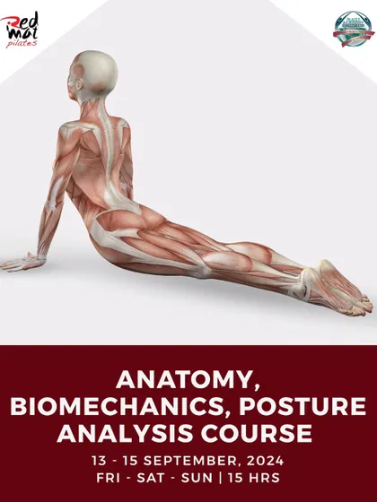 An announcement for our Anatomy, Biomechanics, and Posture Analysis course. This foundational module is essential for any fitness professional.