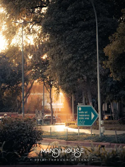 The golden hour light streaming through the trees at Mandi House, Delhi. This is the kind of magical light I'm always chasing.