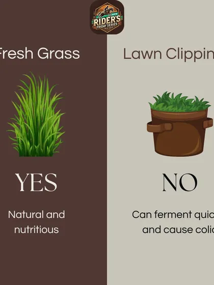 While fresh grass is a natural and nutritious food source, lawn clippings are a major danger. They can ferment quickly and cause colic, a serious digestive issue in horses.