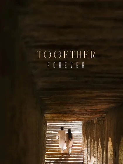 A powerful image of the couple walking up the stairs of a stepwell, symbolizing their journey together, forever moving forward.
