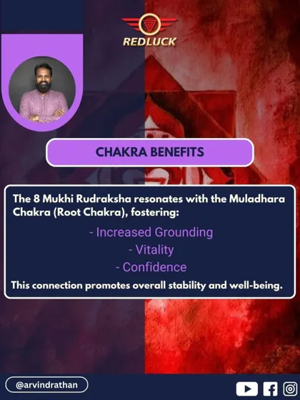 The 8 Mukhi Rudraksha resonates with the Muladhara (Root) Chakra. This connection fosters increased grounding, vitality, and confidence, promoting overall stability and well-being in the wearer's life.