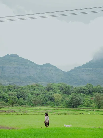 A photo series documenting the vibrant life of Junnar during the monsoon. It includes scenes of children playing, farmers at work, a man diving into a lake, and even a playful monkey.
