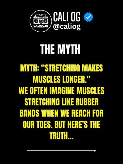 The myth is that stretching makes muscles longer. We often imagine our muscles like rubber bands, but here's the truth about what's really happening.