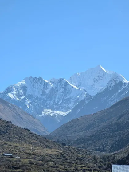 A view of the snow-capped peaks of the Langtang range, seen from the lower valley, showcasing the dramatic changes in landscape during the trek.