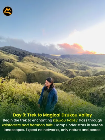 A solo moment of peace during a trek to the magical Dzukou Valley. My trips offer a balance of group fun and personal time to connect with nature.