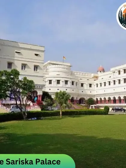The Sariska Palace offers a glimpse into royal history. We often include cultural and heritage sites in our wildlife tour itineraries.