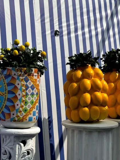 From concept to execution in just 42 hours. This St. Tropez inspired decor in Ahmedabad involved transforming a bungalow with custom-painted walls, fruit-based installations, and unique props, all on a tight deadline.