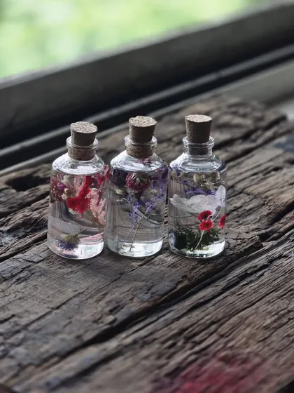 A collection of herbarium jars made by our team, resting on a piece of reclaimed wood.