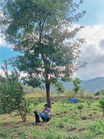 This is my version of peace. Sitting under a tree on my estate in Coorg, surrounded by nature. This is the environment I share with clients during my fitness retreats.