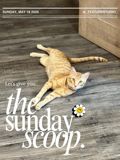 Here's your Sunday Scoop, brought to you by our CEO, Sushi. She's always supervising to make sure everything is purr-fect.