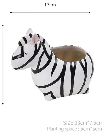 Here are the dimensions for our Zebra pot. It's 13 cm long and 10 cm high, with a planting space of about 5 cm, making it ideal for your tiniest plant friends.