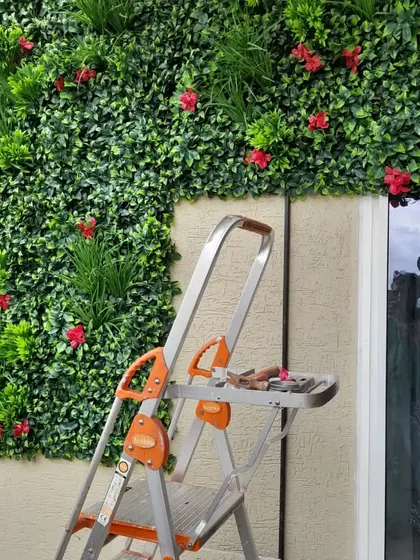 This image shows the setup just after completion, with my tools and ladder. It gives you an idea of the work that goes into creating these beautiful, no-fuss green walls.